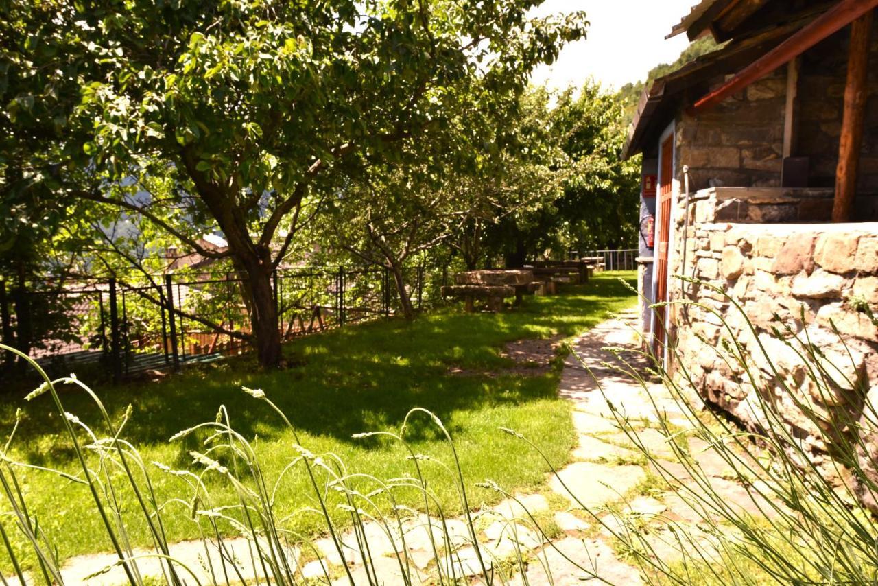 Balcon Del Pirineo Rural Ordesa Hotel Buesa Luaran gambar